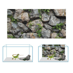 Fond COMSUN cactus et désert ensoleillé pour un décor vivant.