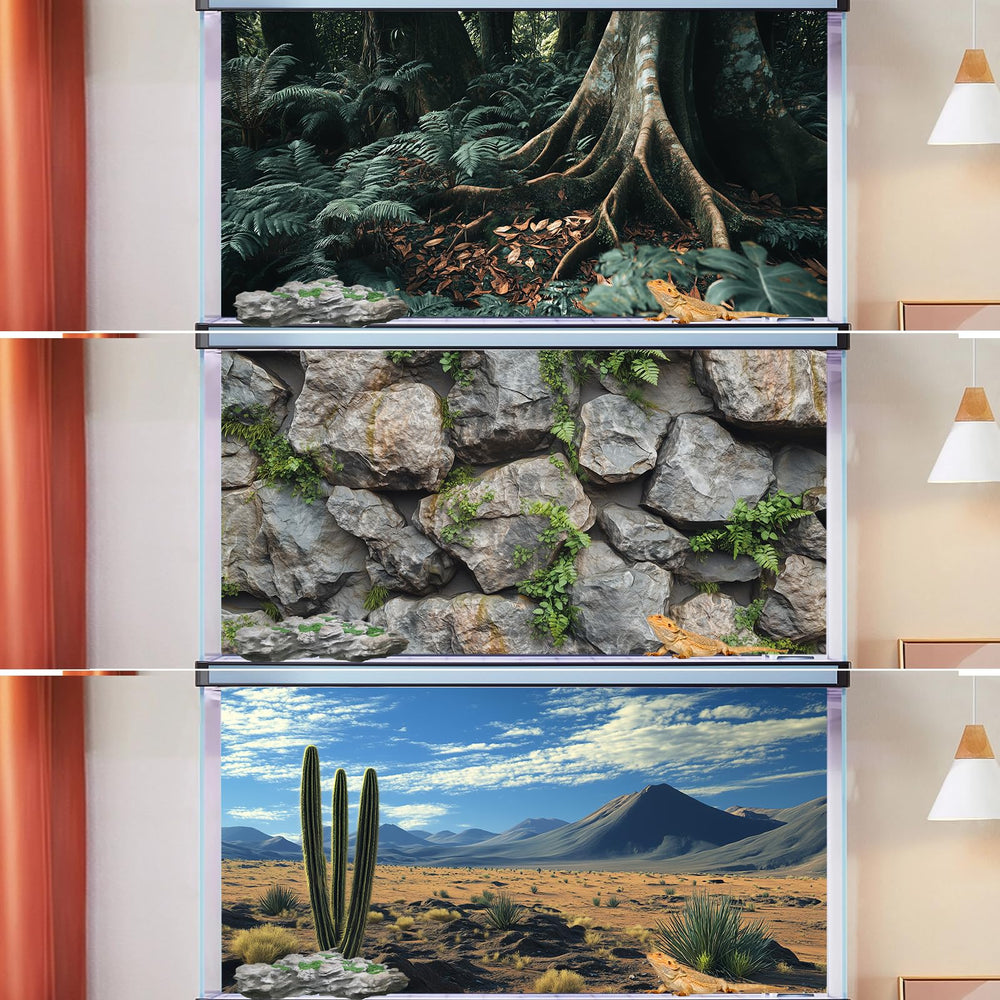 Fond COMSUN couleurs vibrantes pour enrichir l'immersion dans le terrarium.