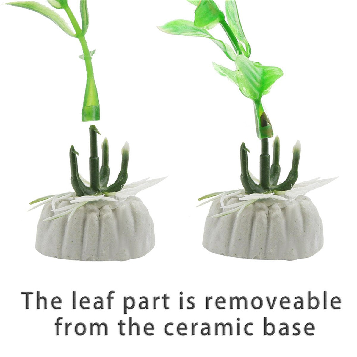 COMSUN plantes sans entretien pour aquarium, réduction de maintenance et apparence durable.