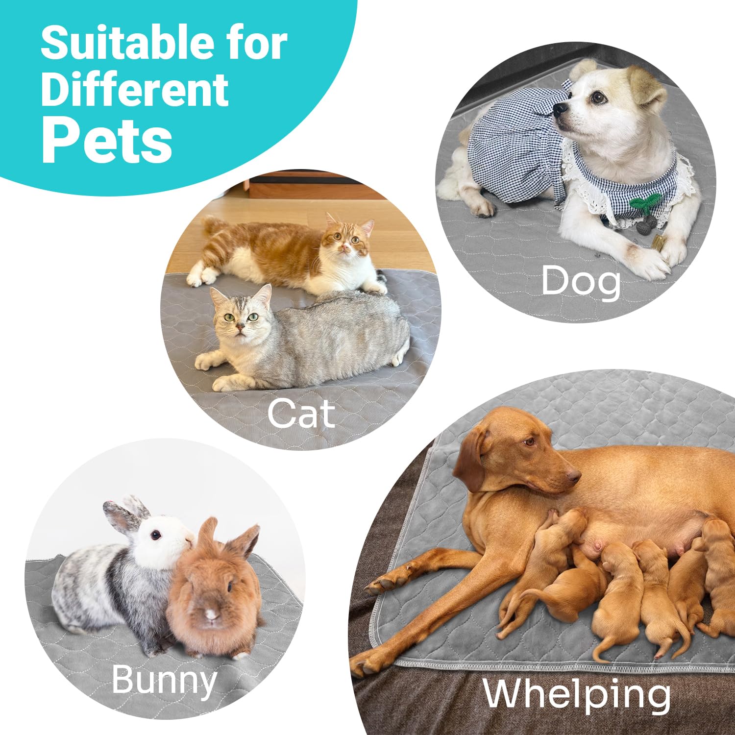 Conkote tapis-pipi chien protection-mobilier, idéal sous les bols et le canapé.