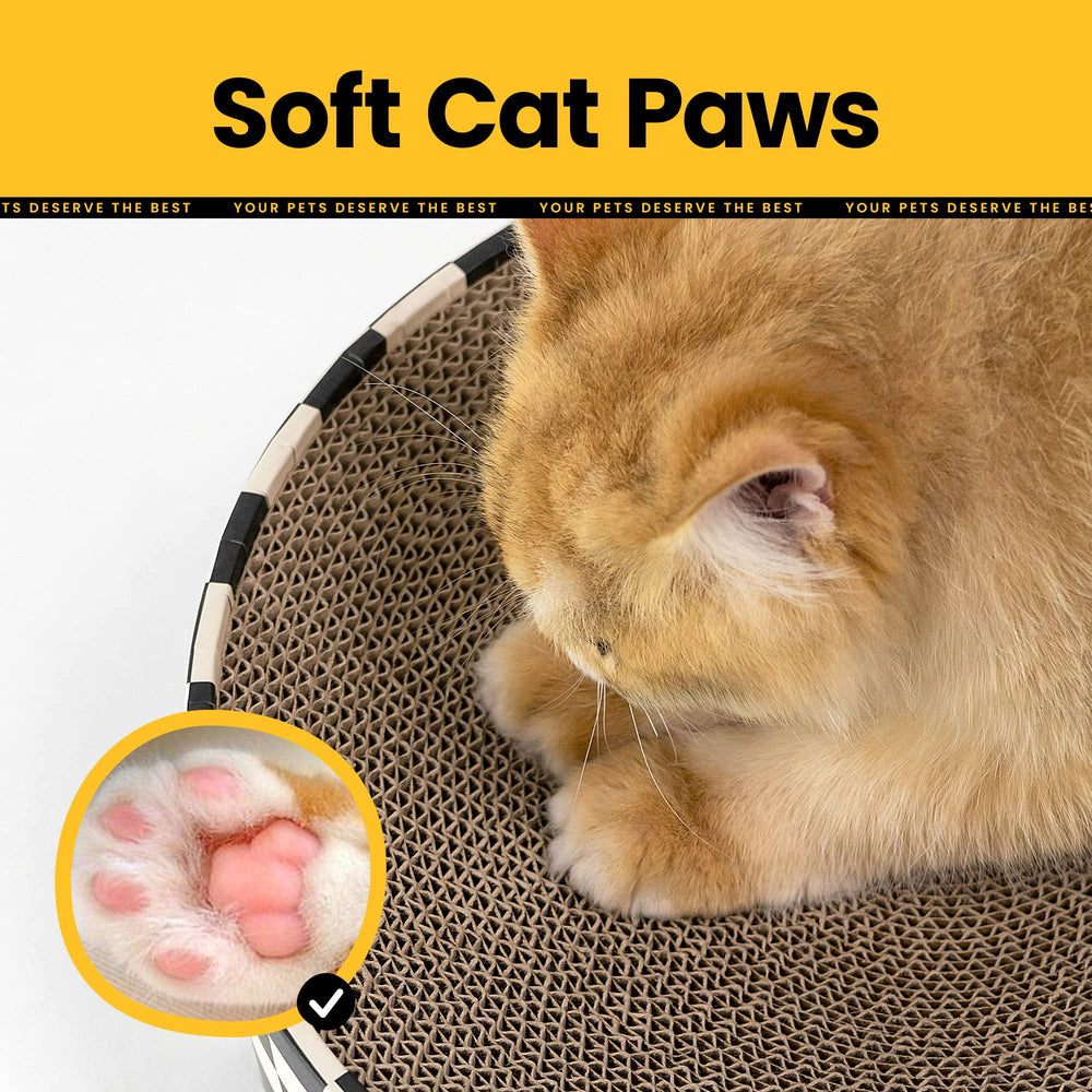 Conlun Grattoir Chat 5 motifs: design varié pour s’adapter à la déco.