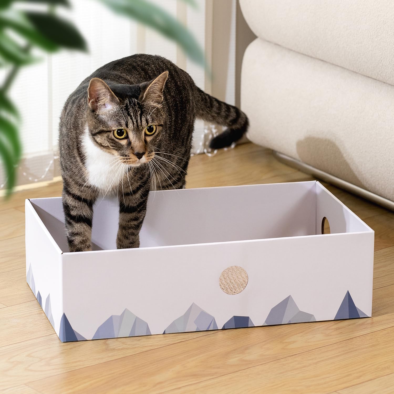 Conlun pack-5-grattoir-chat-pads, pratique pour plusieurs chats.