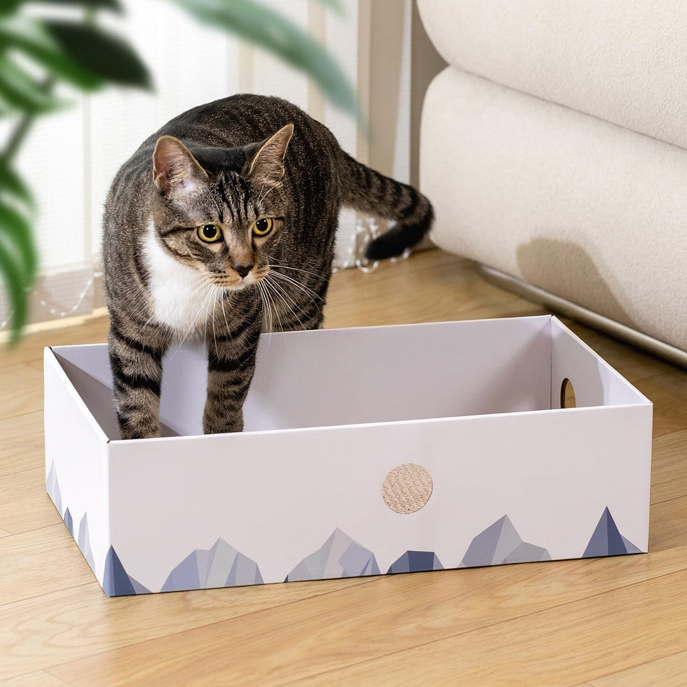 Conlun pack-5-grattoir-chat-pads, pratique pour plusieurs chats.