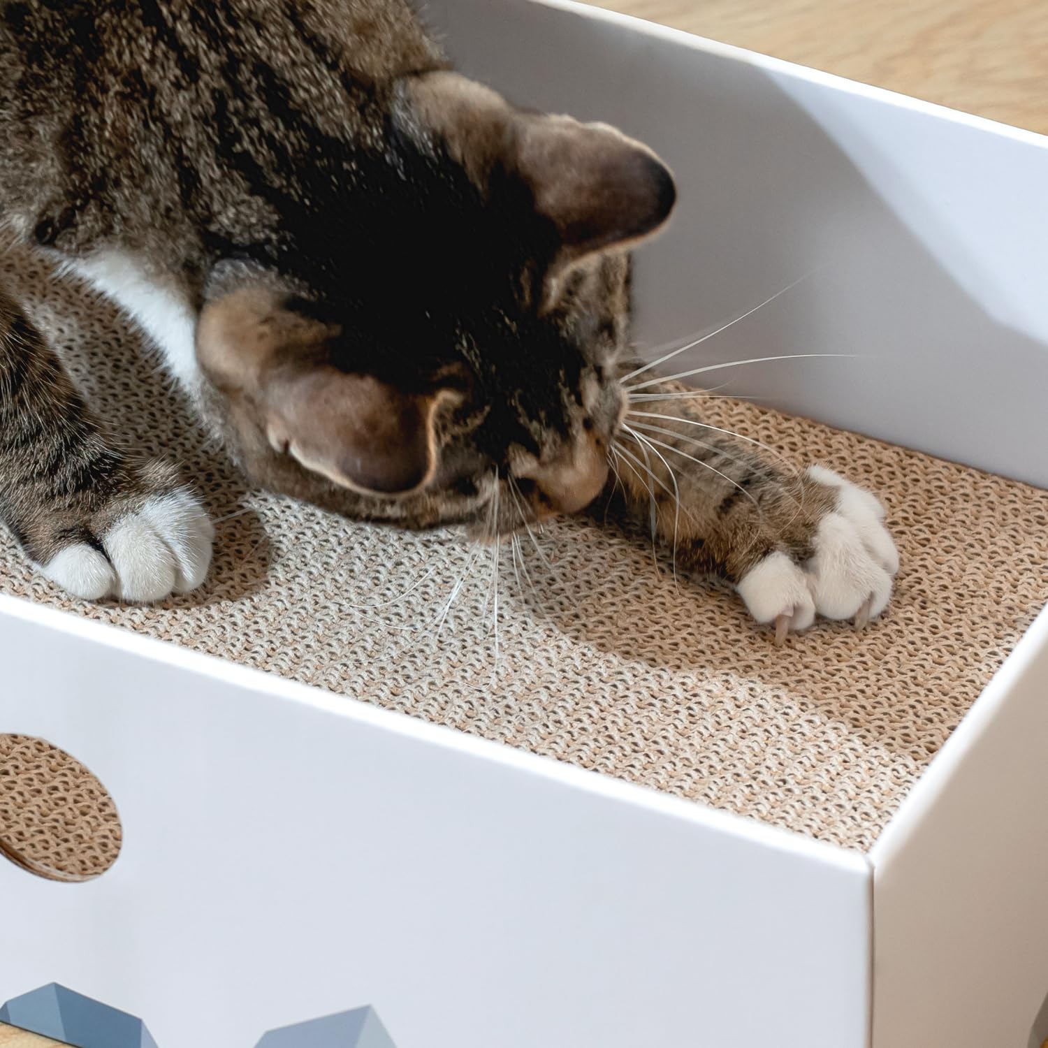 Conlun tapis-grattoir double-face-carton durable, griffage et détente.
