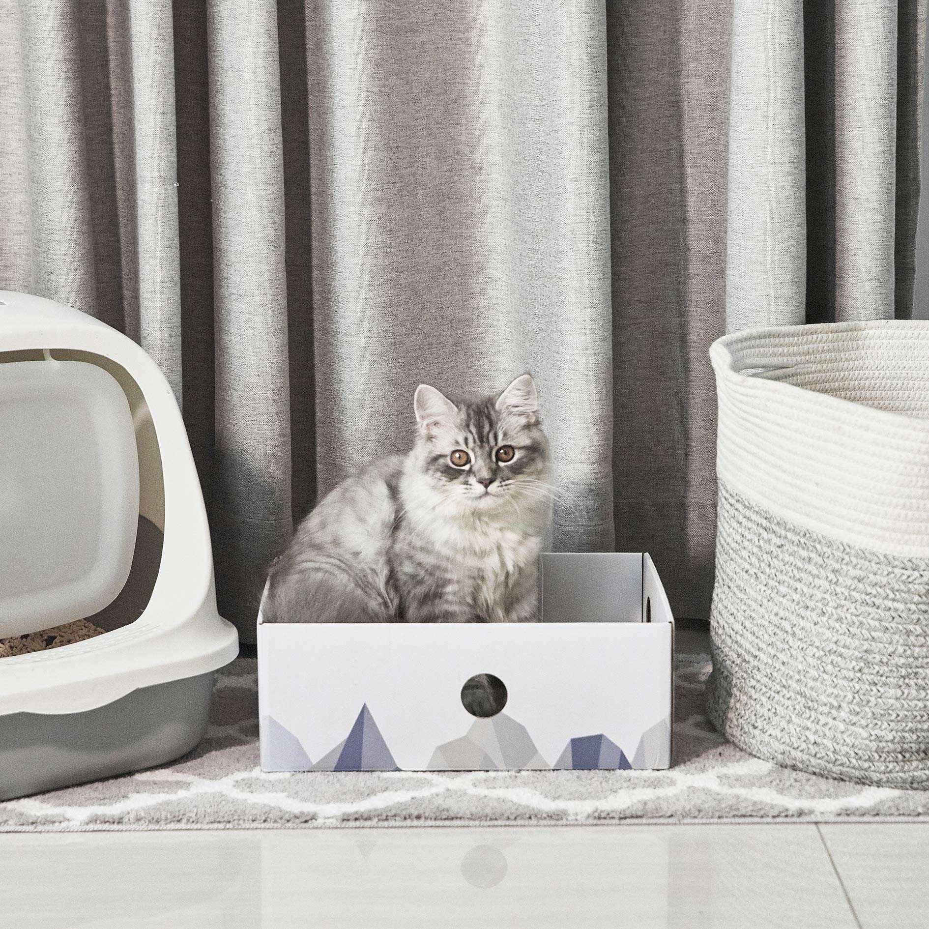 Conlun utilisation-intérieure-chat, protège les meubles tout en divertissant.