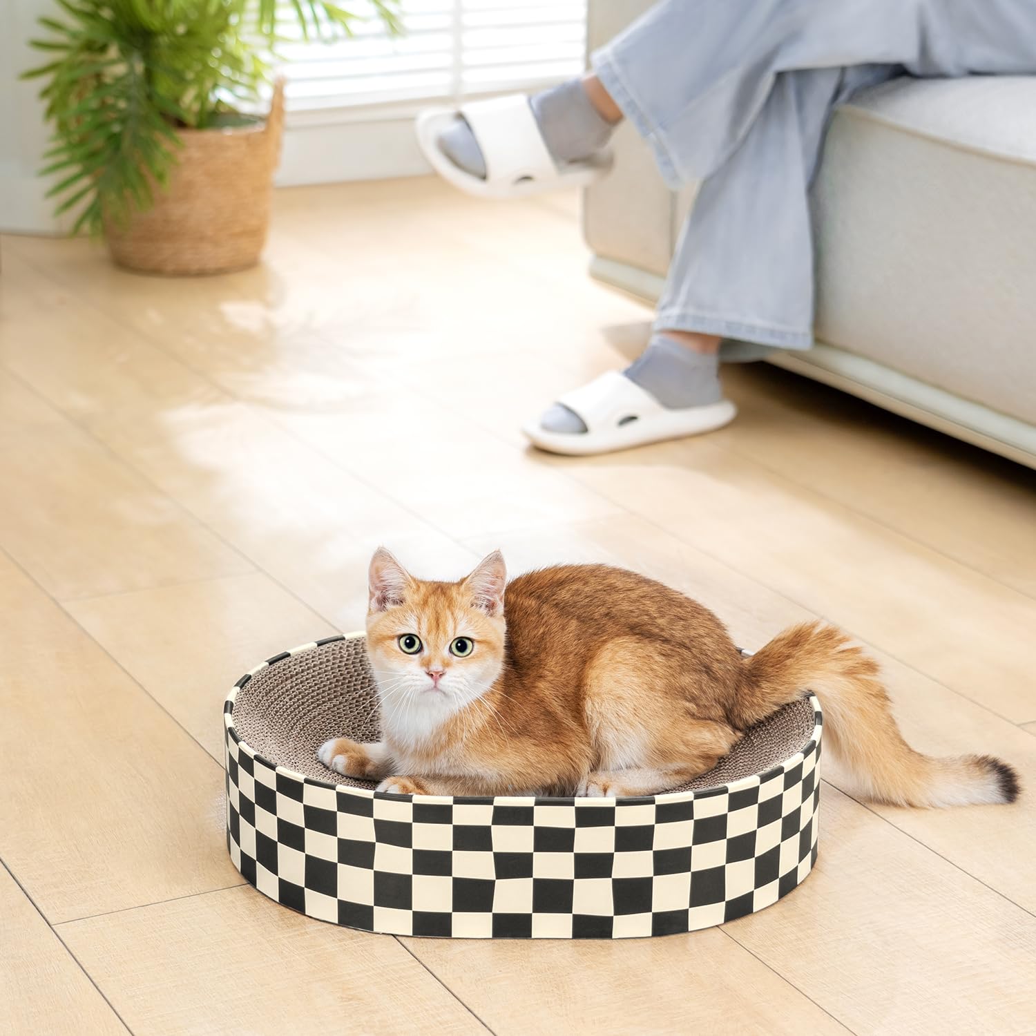 Conlun Grattoir Chat Usage intérieur pratique près du salon.