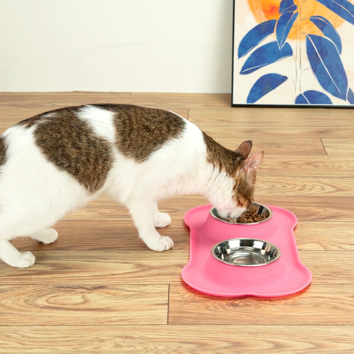 Utilisation quotidienne avec les bols et tapis Conlun pour chiens miniatures.