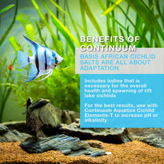Utilisation de Basis African Cichlid Salts après changement d’eau pour stabiliser l’eau.