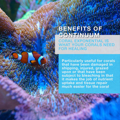 Coral Exponential Continuum Aquatics utilisé comme nourriture pour coraux, favorisant leur croissance.