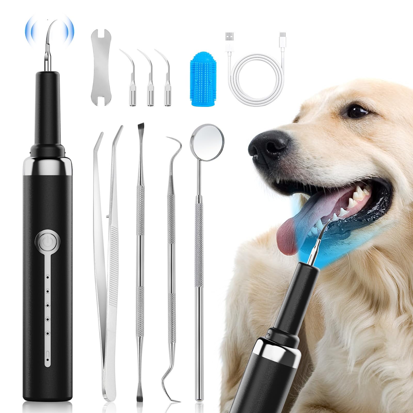 CooAssit nettoyeur dentaire pour chien, réduction de plaque en douceur