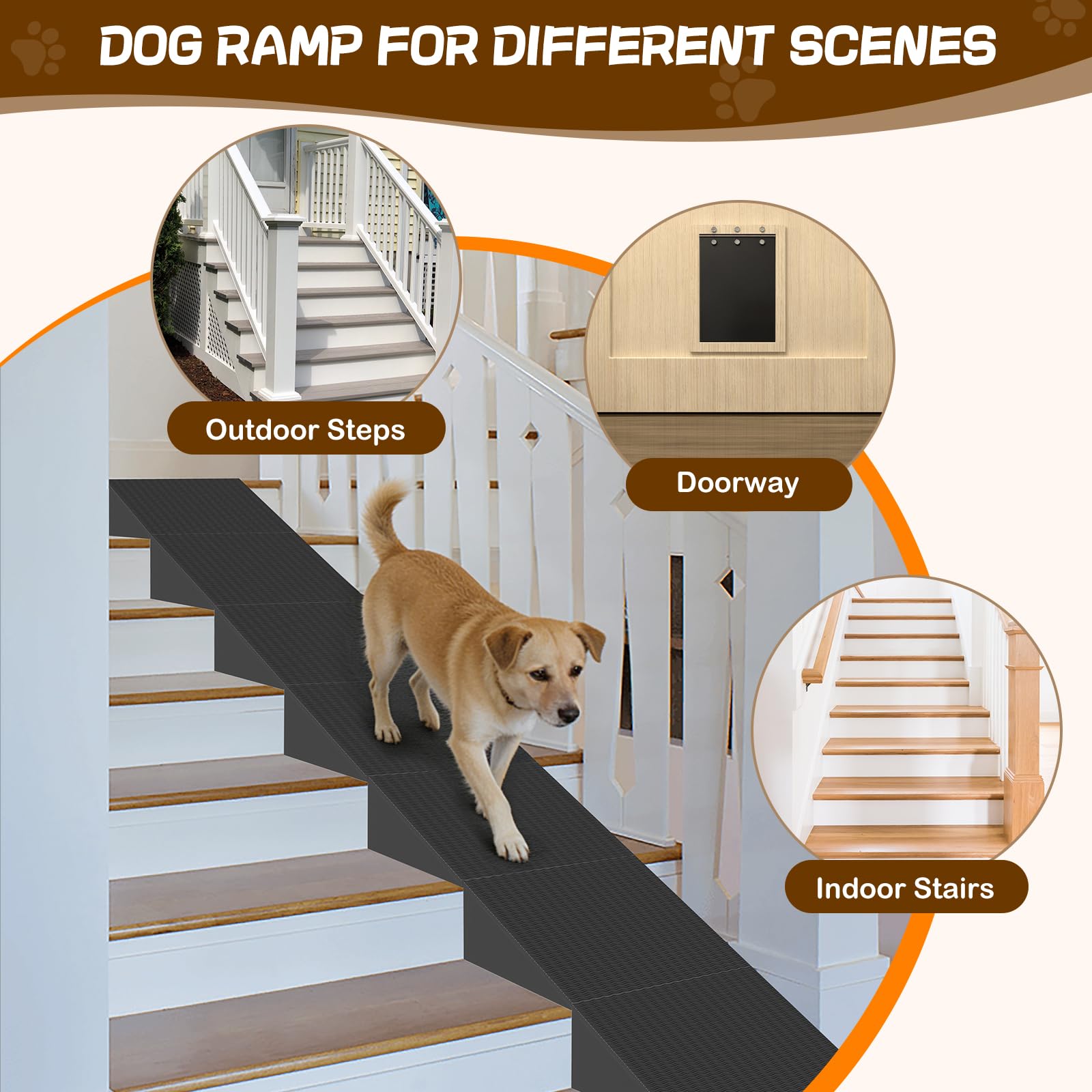 Coocure rampe supportant jusqu'à 100 livres pour chiens.