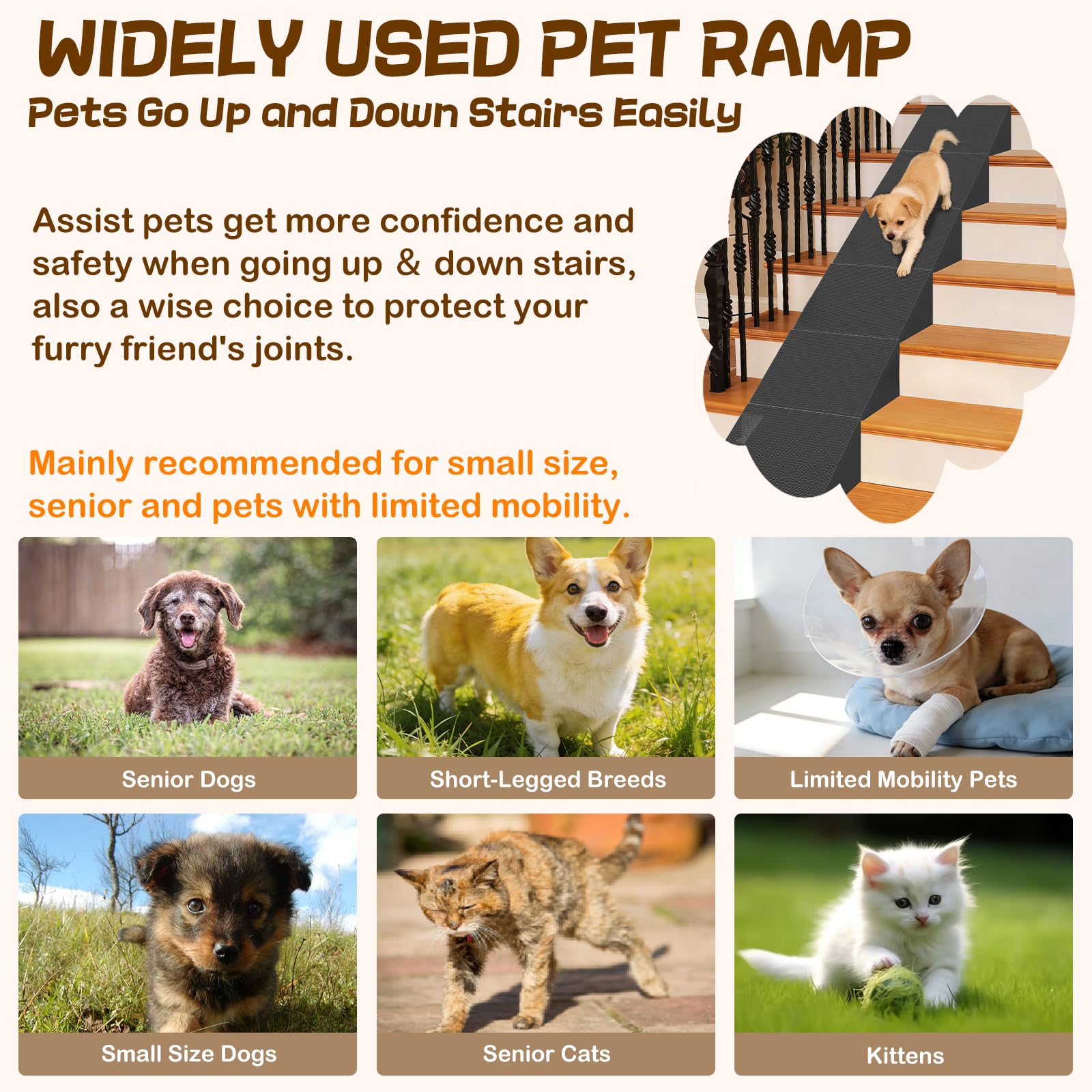 Coocure rampe idéale pour seniors et animaux blessés.