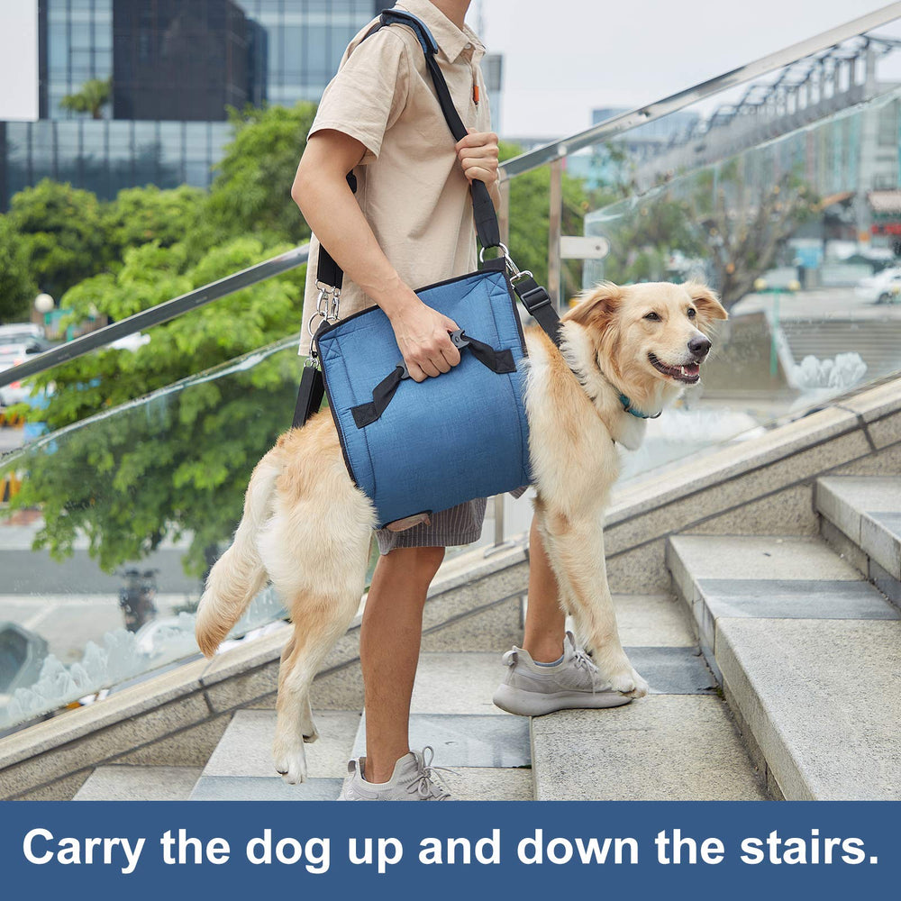 Coodeo aide-escalier-chien: aide sûre pour monter et descendre les escaliers.
