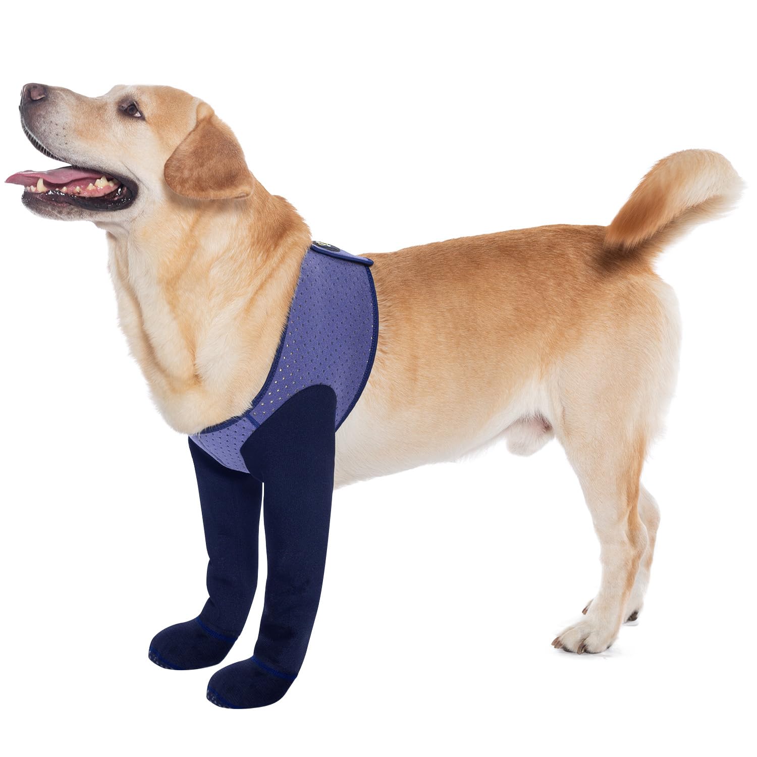 Chaussettes COODEO pour pattes avant, imperméables et antidérapantes.