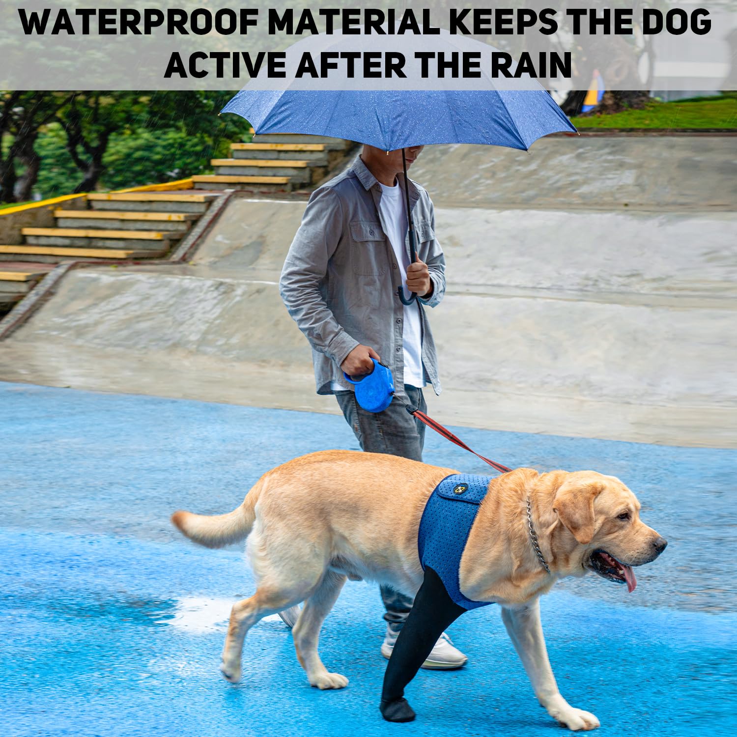 Bottes Coodeo bleu pour chien, guérison douce des pattes.
