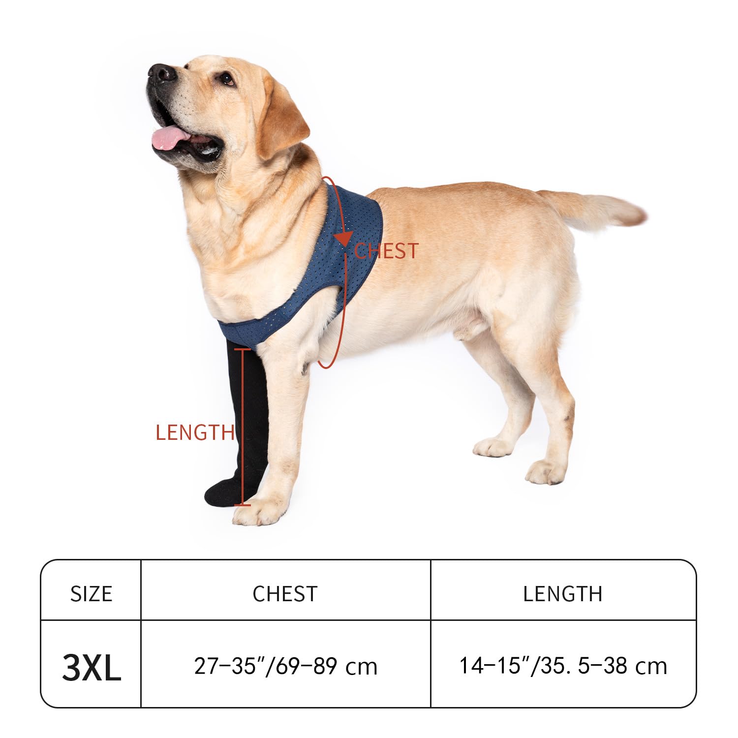Bottes imperméables Coodeo bleu pour chiens, usage intérieur et extérieur.