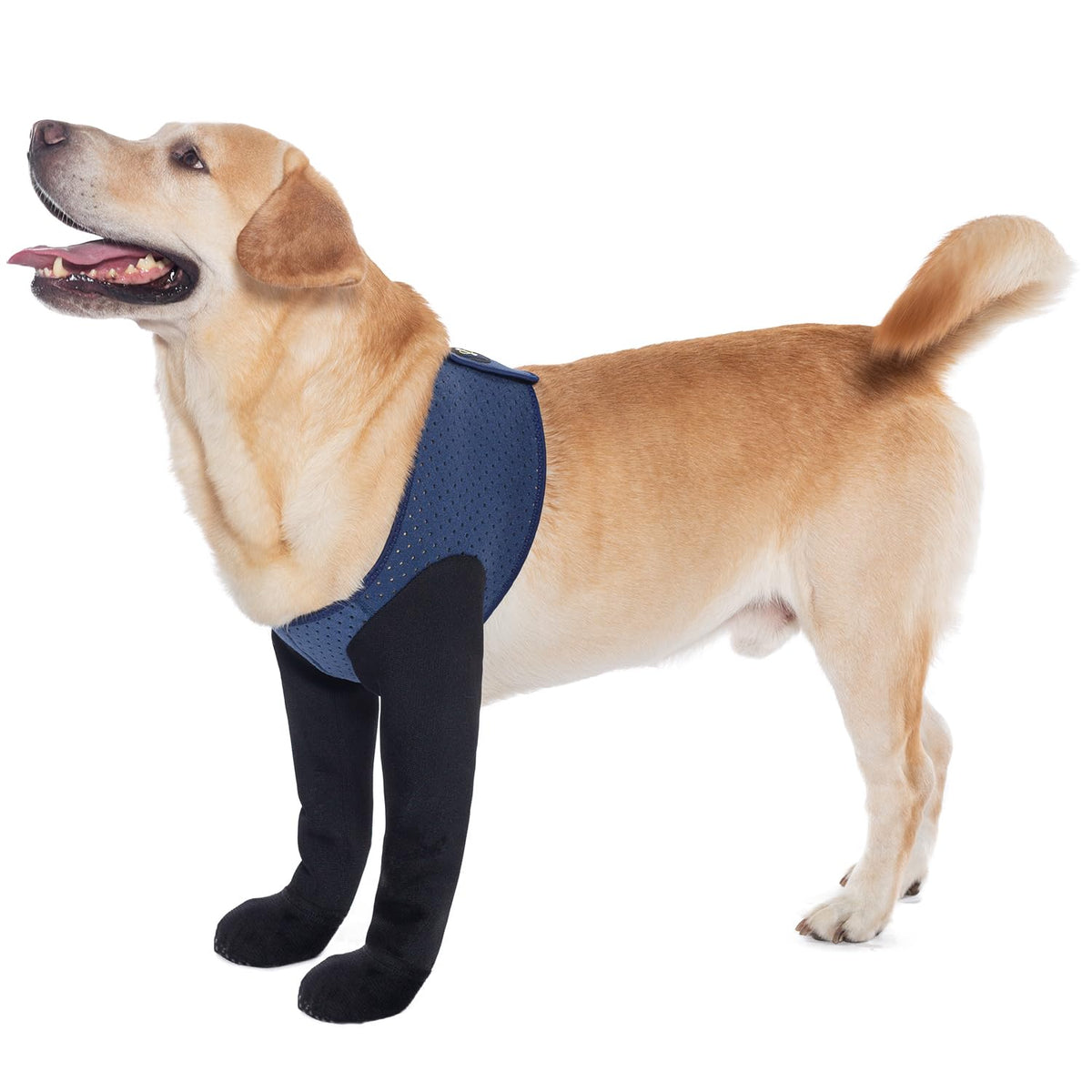 Coodeo bottes pattes avant anti-glisse bleu: protection et adhérence.
