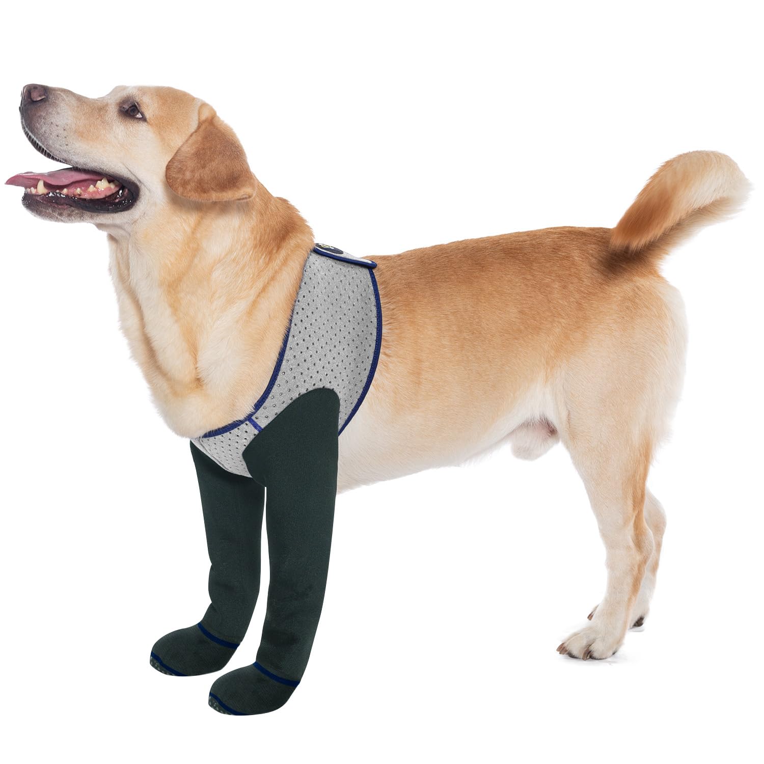 COODEO bottes pour pattes avant gris imperméables, protection lors des sorties.