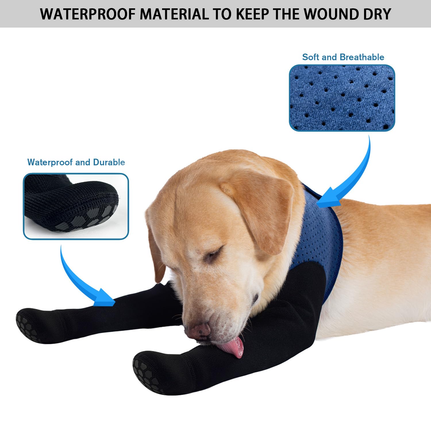 Coodeo chaussettes pattes avant impermeables bleu: pattes sèches et propres.