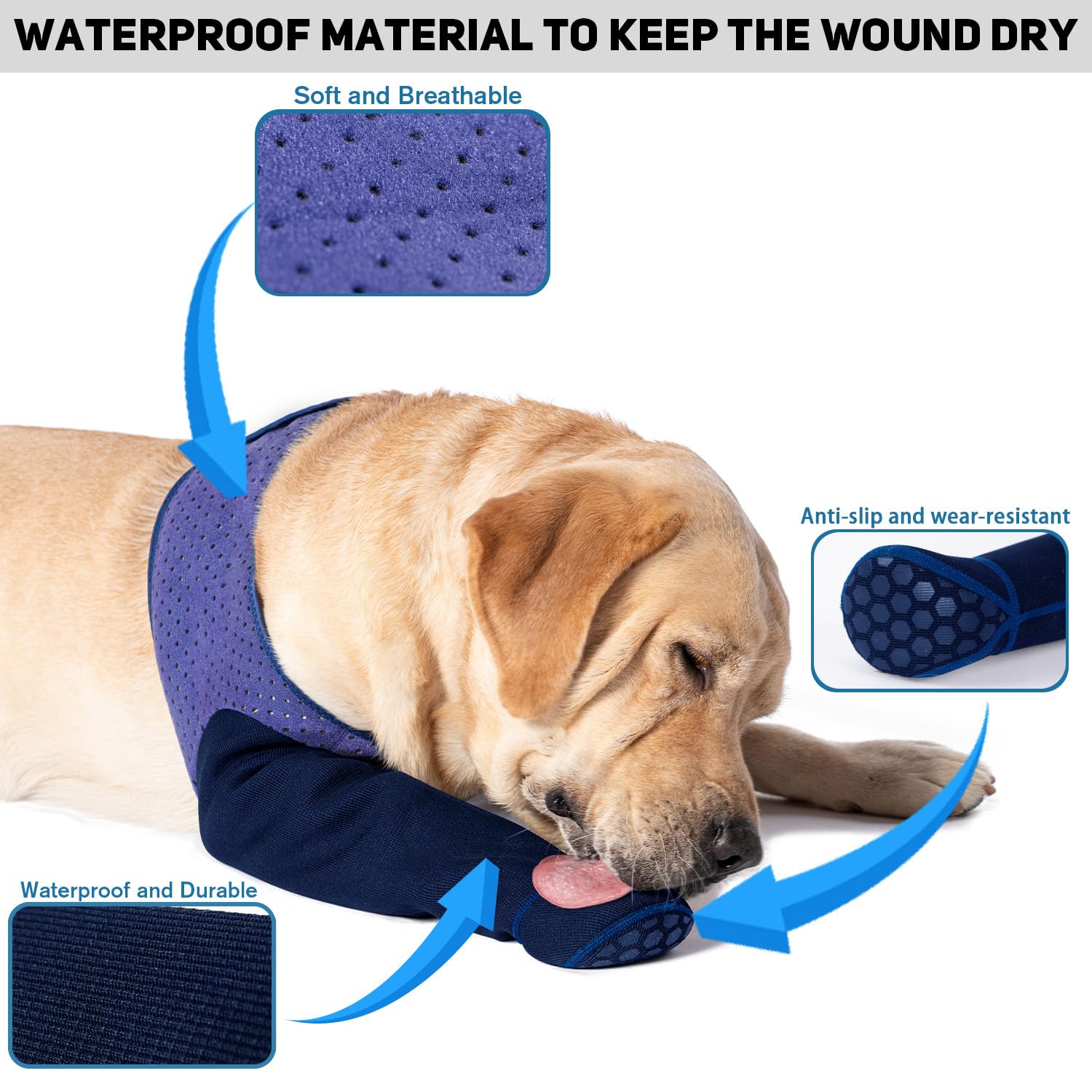 Chaussettes COODEO protection pattes anti-léchage violet pour sécurité et propreté