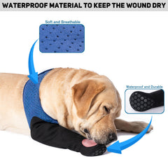Chaussettes Coodeo bleu pour chien, protection des pattes et sécurité quotidienne.