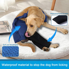 Détail des manches respirantes sur la combinaison Coodeo pour chien bleu XL.