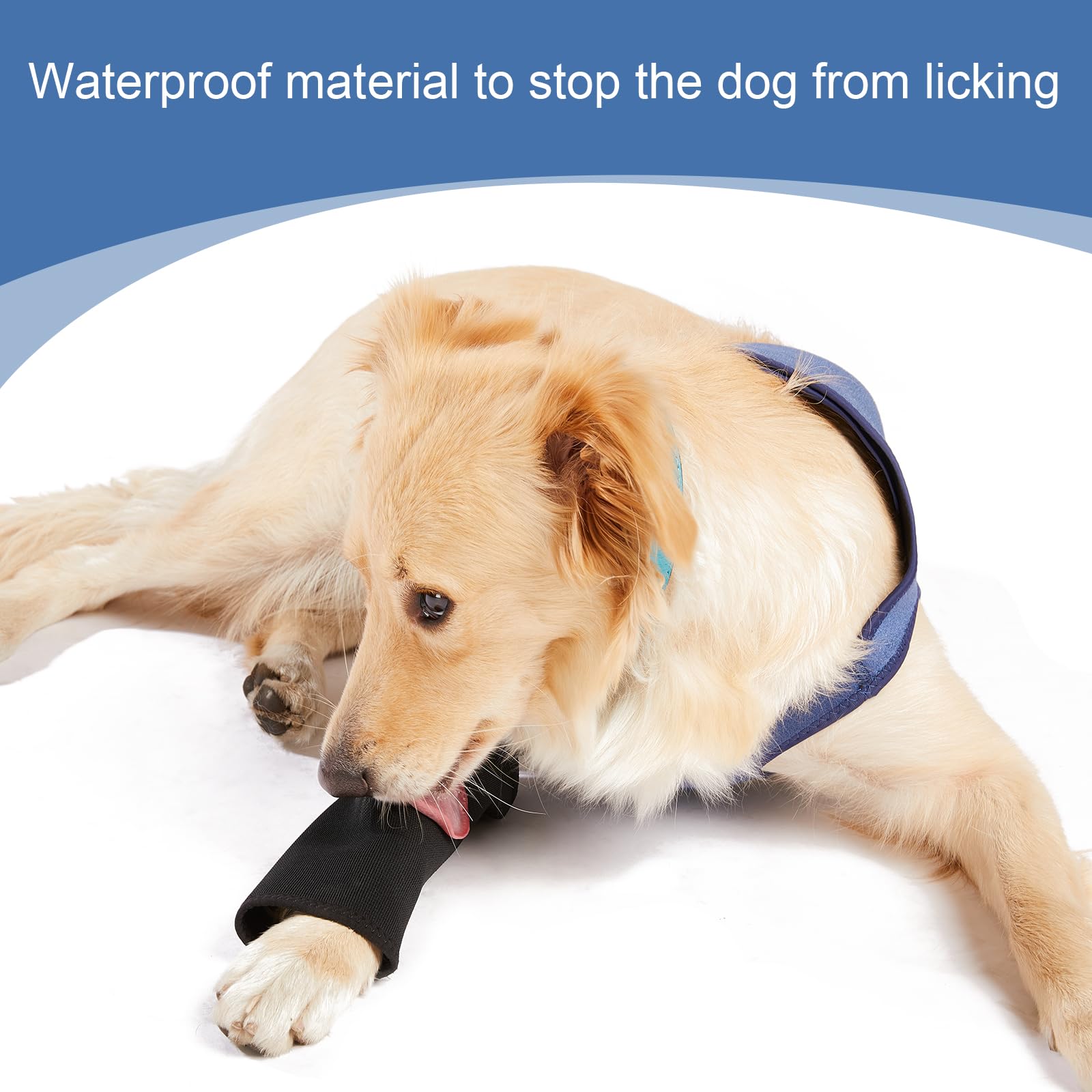 Coodeo combinaison-recup-chien-resistance-2-5mm: matériau robuste pour les sorties quotidiennes.