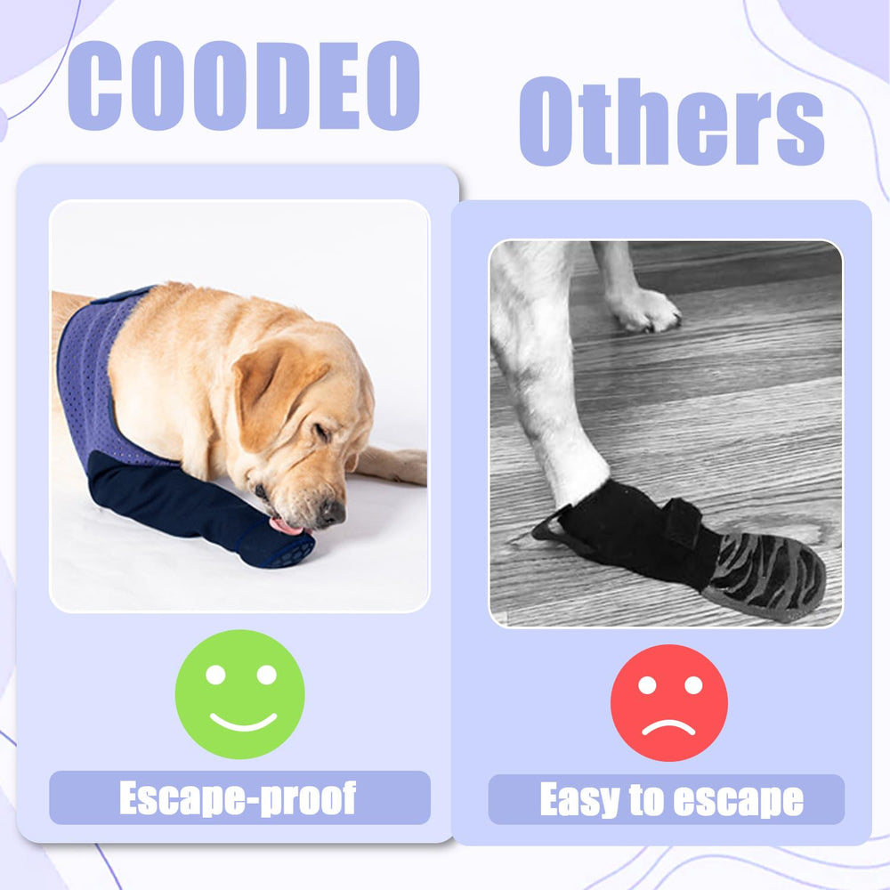 Ensemble COODEO protection pattes violet pour chiens