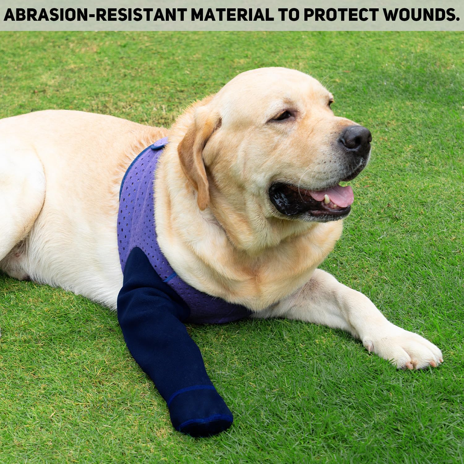 Garantie COODEO application rapide protection pattes violet
