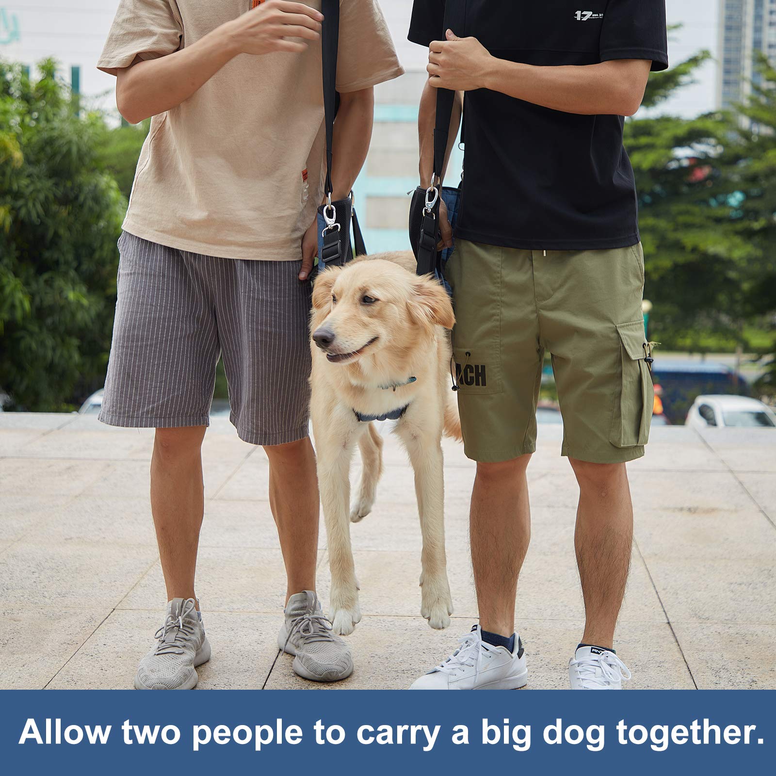 Coodeo levage-rapide-chien: utilisation rapide en cas d’urgence pour sécuriser l’animal.