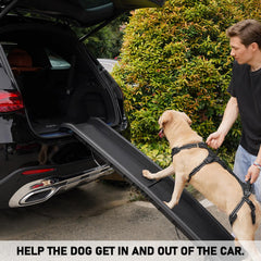 COODEO Mobility Harnais levage chien, vue arrière, soutien pattes arrières en douceur
