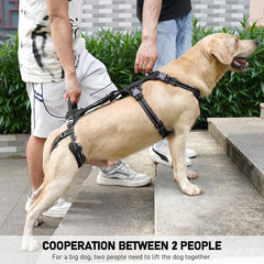 COODEO Mobility Harnais levage chien, facile a enfiler en une minute