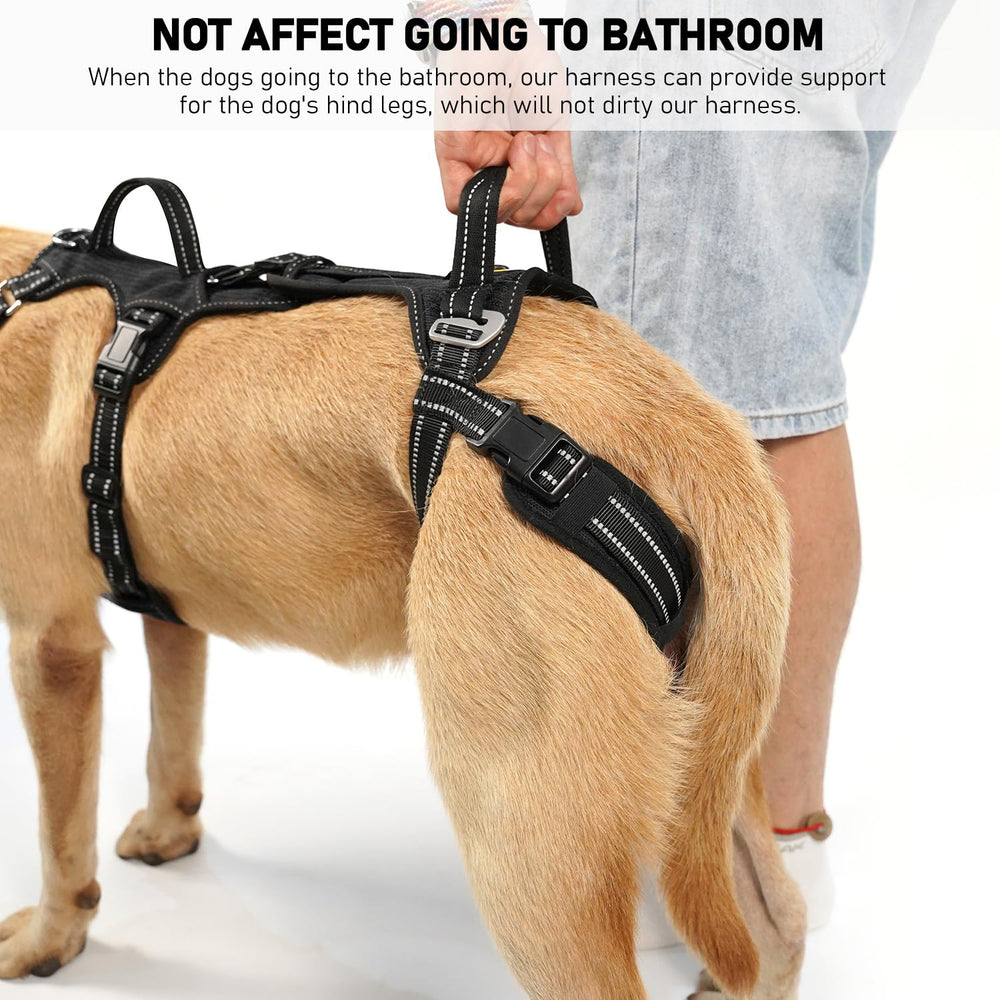 COODEO Mobility Harnais, sécurité lors des escaliers pour chien âgé
