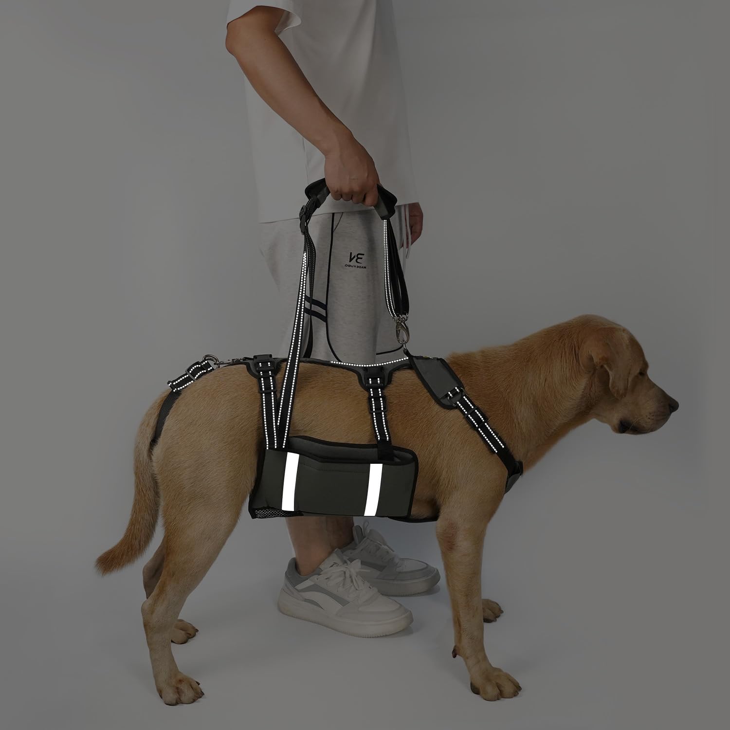 Poches externes Coodeo pour ranger accessoires