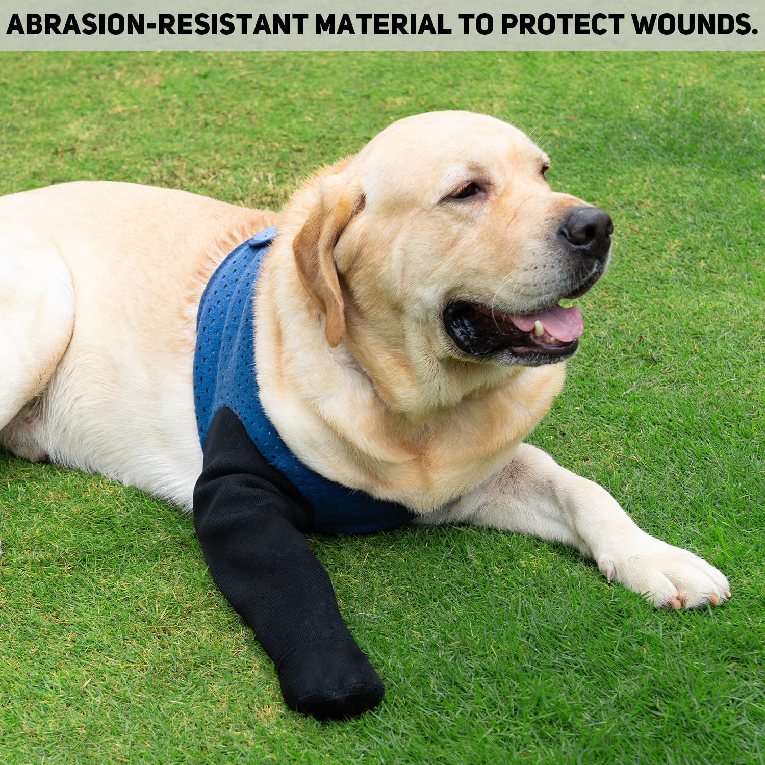 Protections de pattes imperméables Coodeo bleu, protection durable.