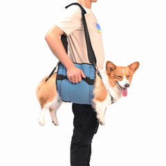 Coodeo sling-portage-chien: facilite le déplacement des chiens âgés et sensibles.