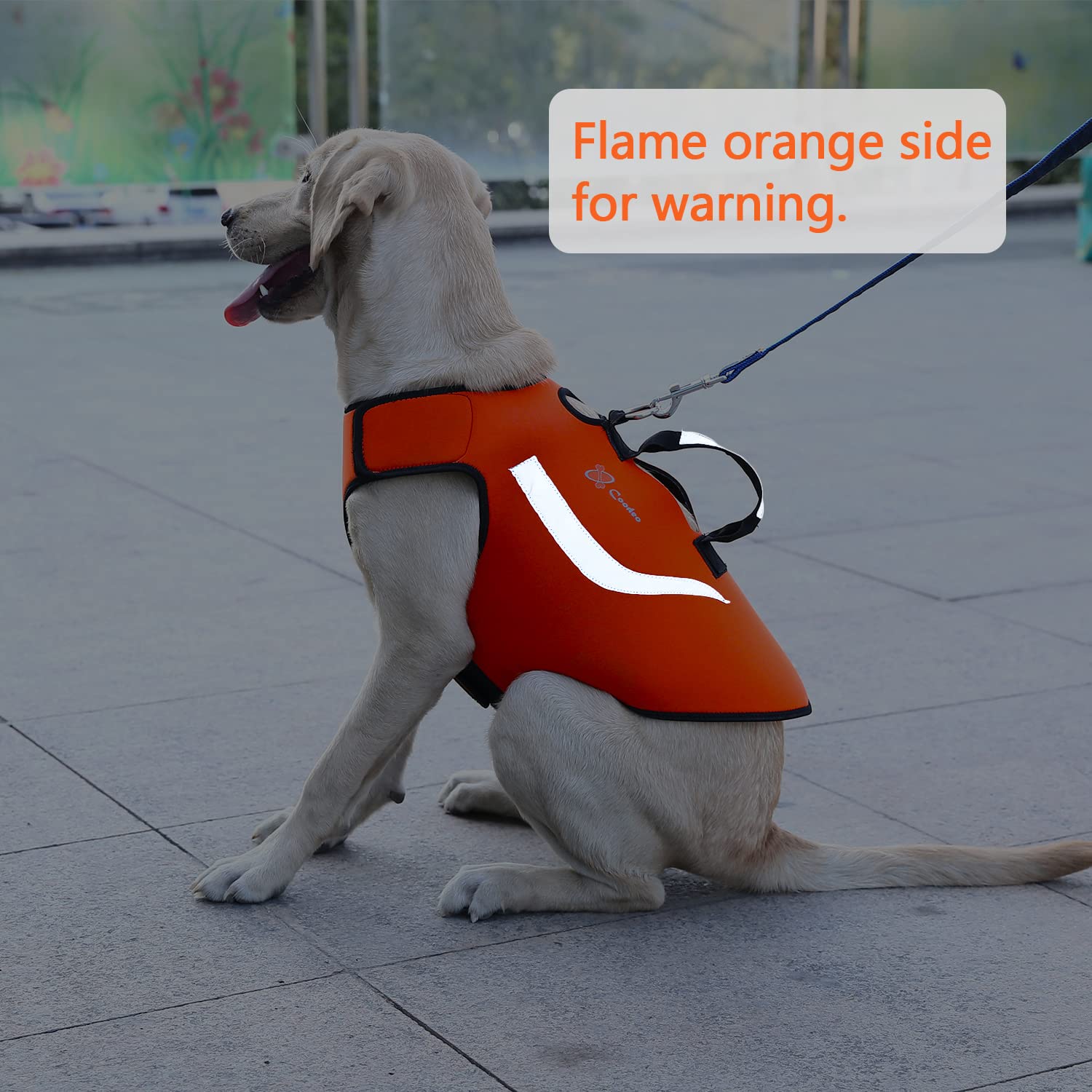Coodeo Veste chien anneau-poignee-haut pour contrôle rapide.