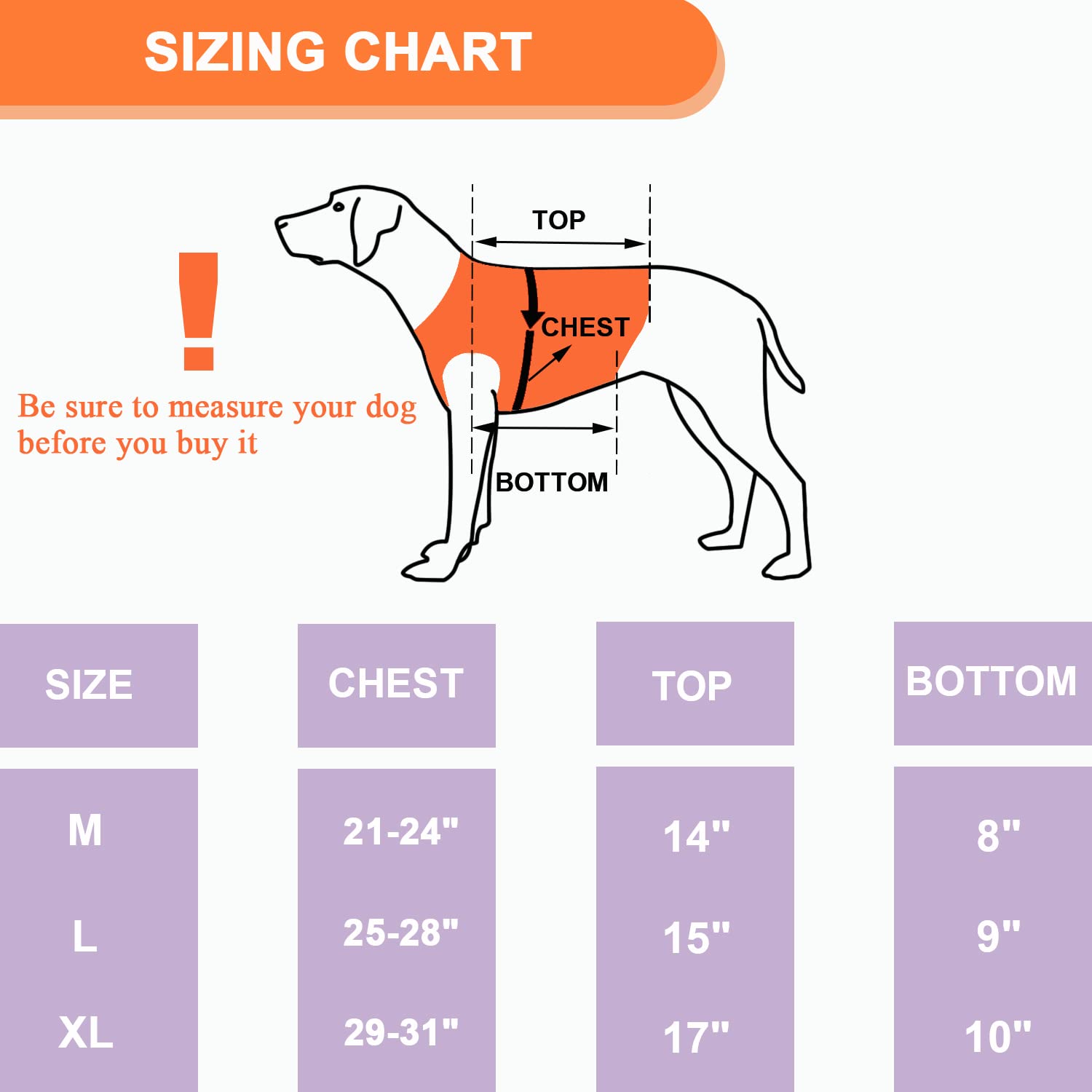 Coodeo Veste chien imperméable, idéal pour terrains humides.