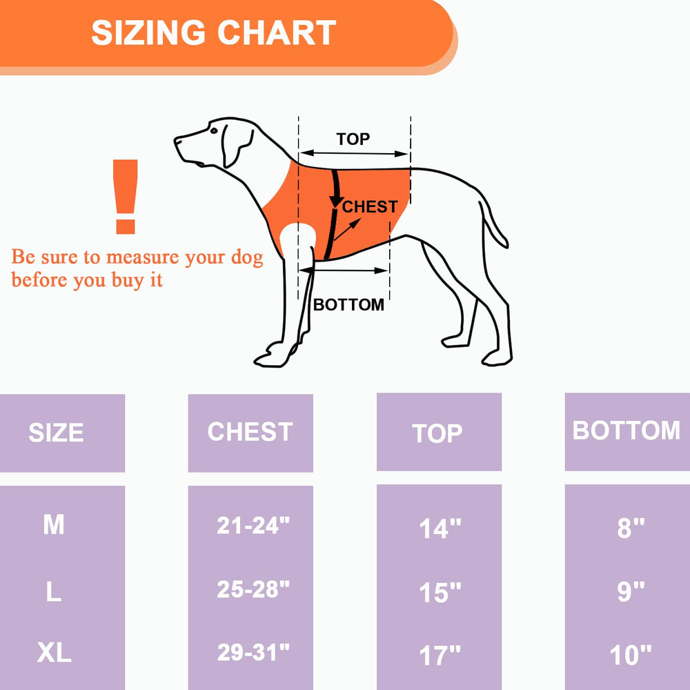 Coodeo Veste chien imperméable, idéal pour terrains humides.