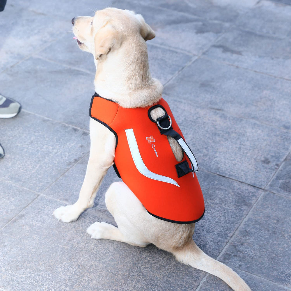 Coodeo Veste chien qualité élevée, confection soignée.