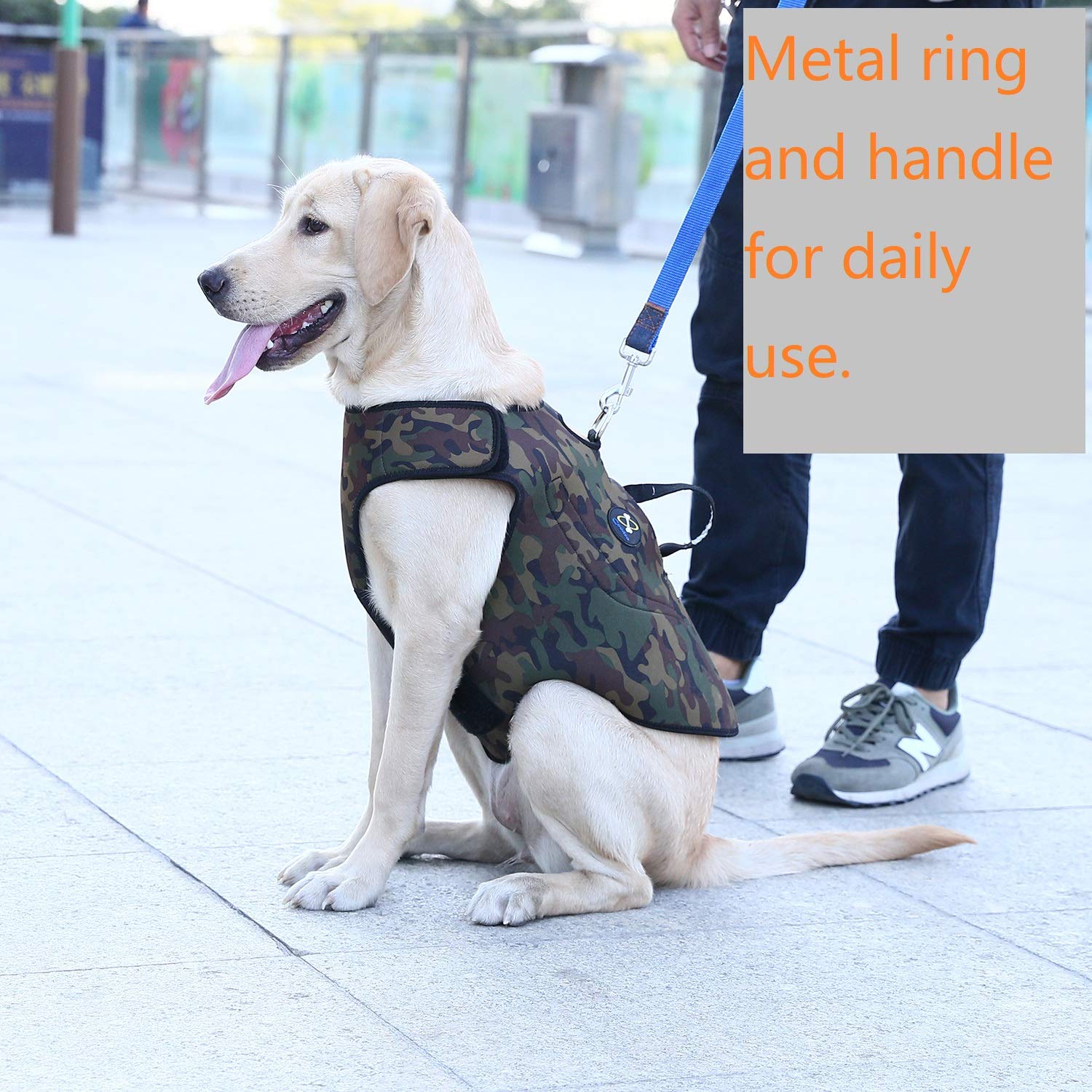 Coodeo Veste chien reversible, deux côtés faciles à changer.