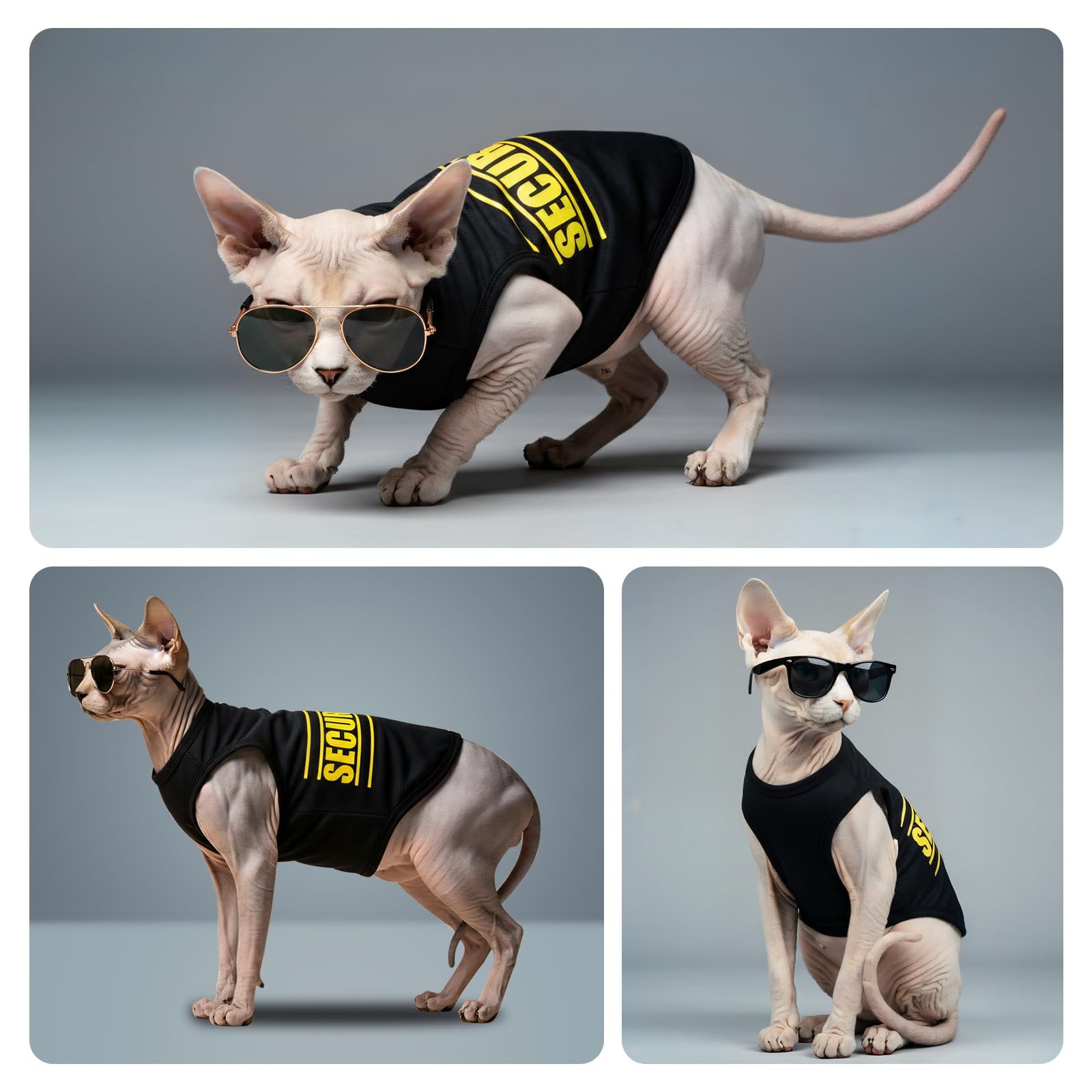 COOHAMS ensemble deux maillots – pratique et économique pour chiens mâles.