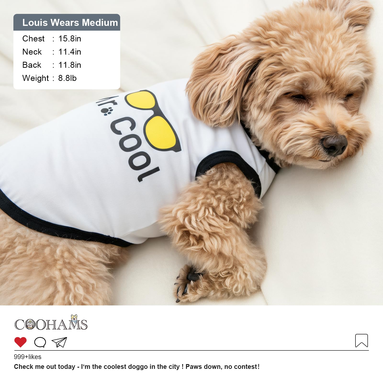 COOHAMS maillot chien noir Security – look joueur et sortie pratique.