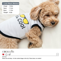 COOHAMS maillot chien noir Security – look joueur et sortie pratique.