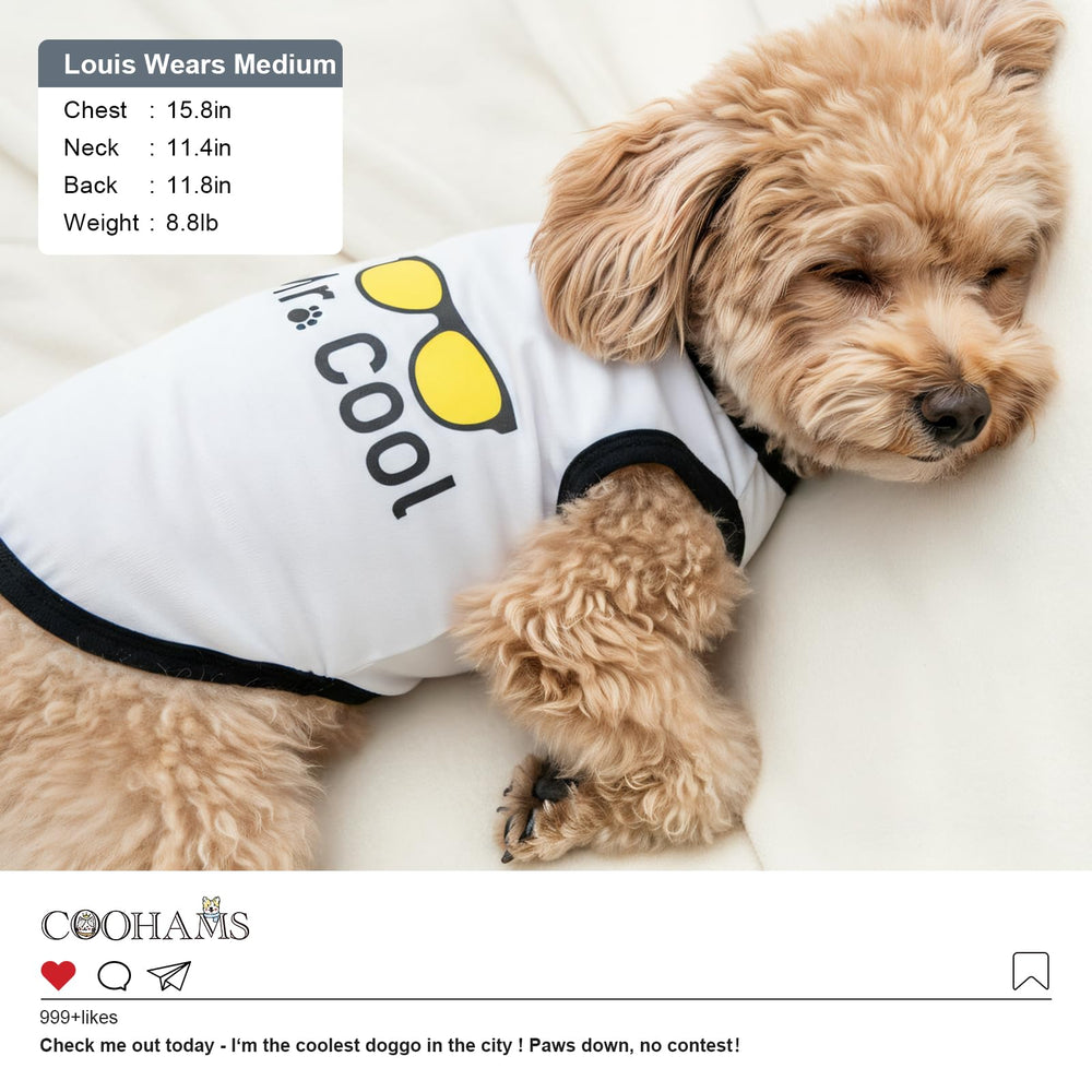 COOHAMS tissu coton doux, chien confortable toute la journée.