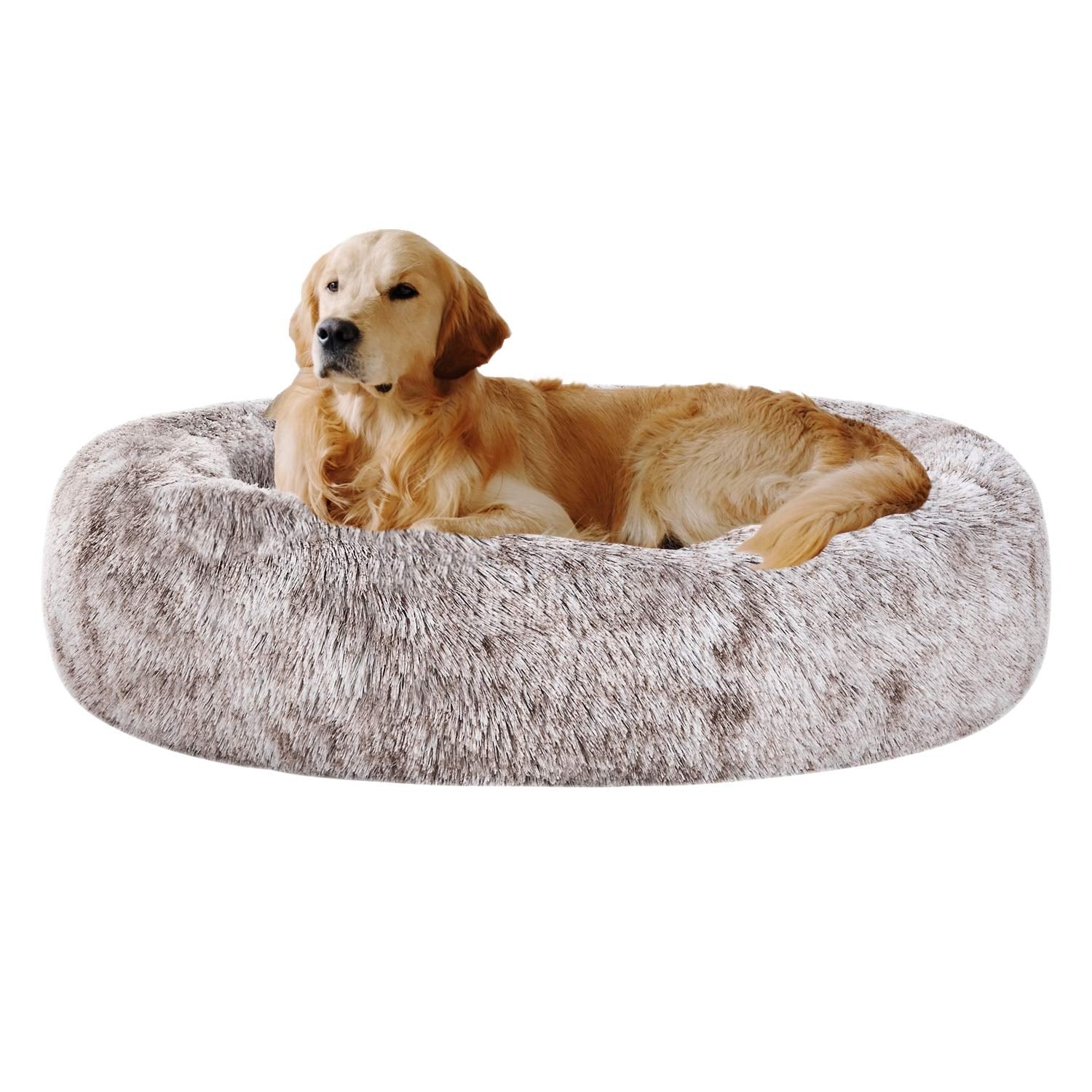 Coohom nid-donut-oval-doux: confort enveloppant pour animaux.