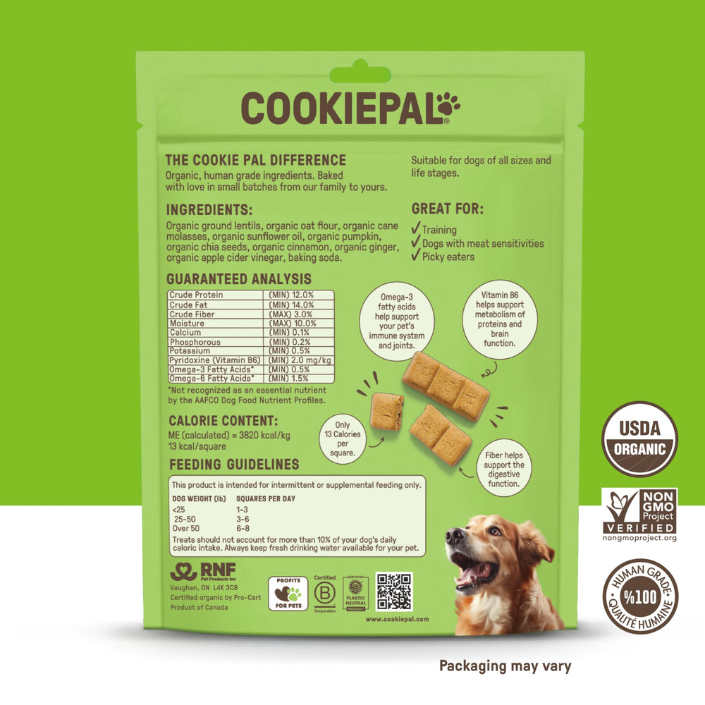 CookiePal biscuit potiron-chia croquant, texture attrayante pour le mordant et la dégustation.