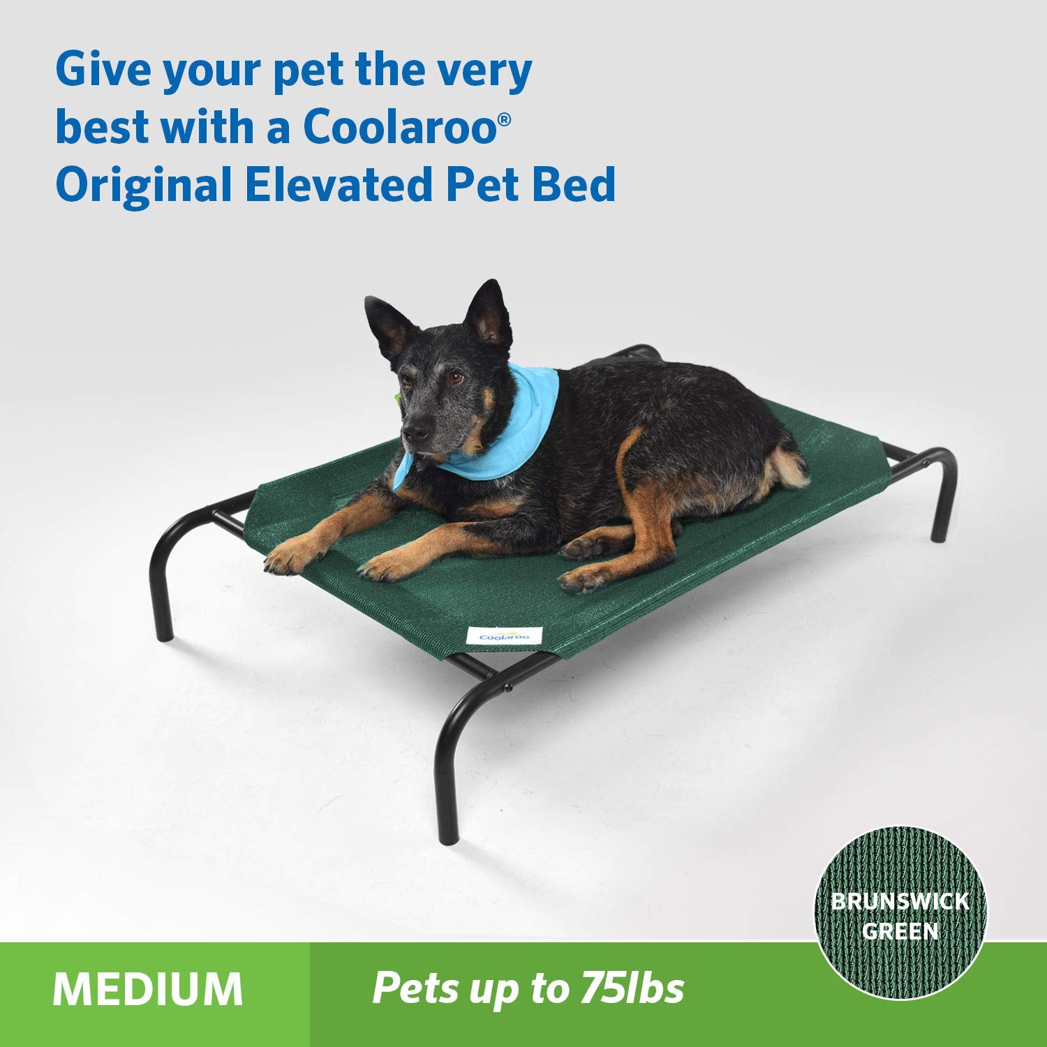Coolaroo lit-chien elevé original aeration 360 degrés: ventilation complète.