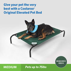 Coolaroo lit-chien elevé original aeration 360 degrés: ventilation complète.