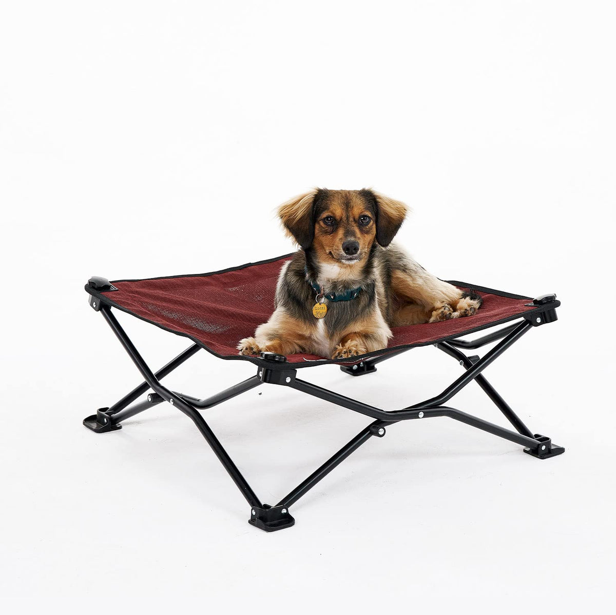 Coolaroo lit-chien-sur-elevation-pliable, idéal en voyage.